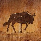 Thumb Gnu im Staub